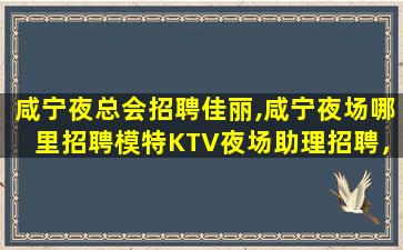 自贡酒吧招聘